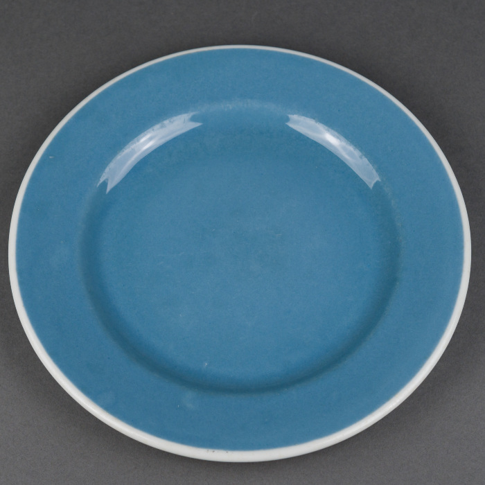 Dinner Plate;Tableware