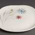 Dinner Plates