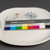 Dinner Plates