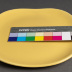 Dinner Plate