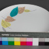 Dinner Plate