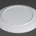 Dinner Plate