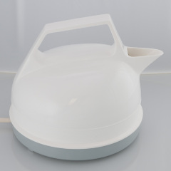 Electric Kettle with commercial packaging and instruction pamphlet