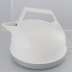 Electric Kettle with commercial packaging and instruction pamphlet